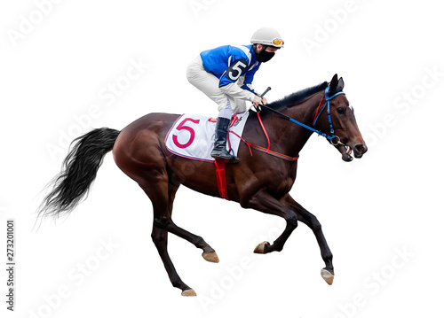 jockey horse racing isolated on white background © Dikkens