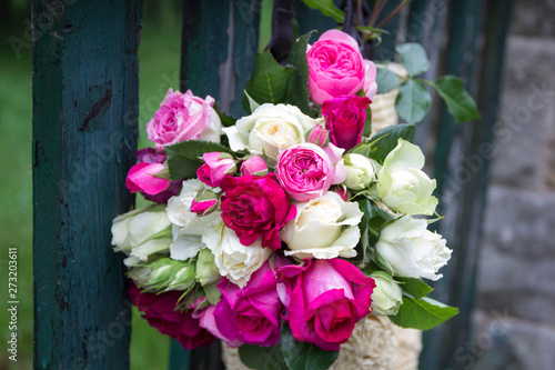bouquet of fragrant English pink and white roses in a bag of raffia hanging on the fence