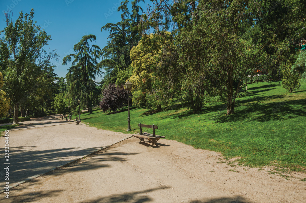 Dirt pathway passing through trees in a garden of Madrid Dirt pathway passing through trees in a garden of Madrid