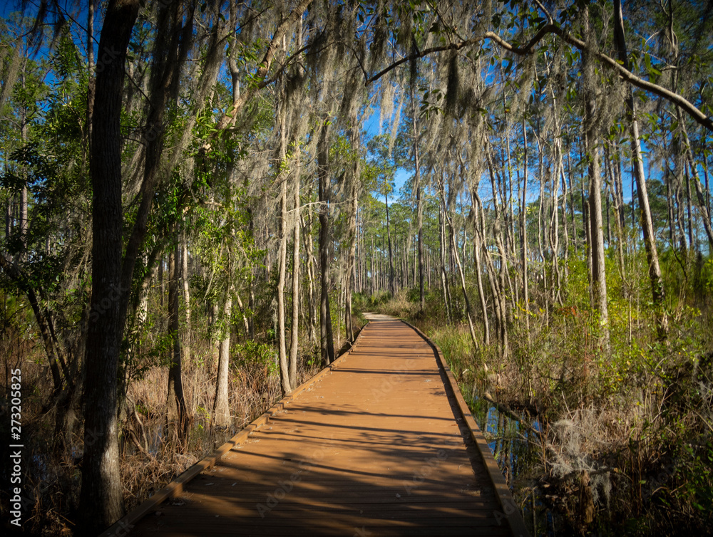Obraz premium Beautiful winter landscape of Georgia