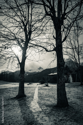 black and white selective color snowy landscape in pass giau in dolomites in cold wintertime  italy