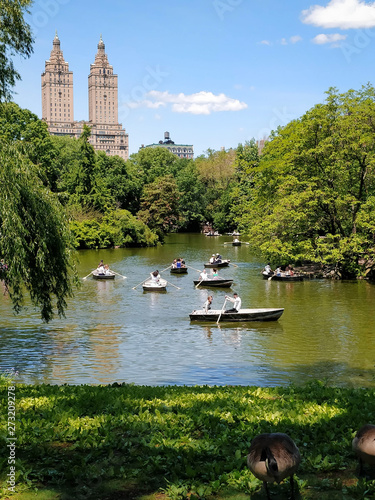 Bilde på lerret central park