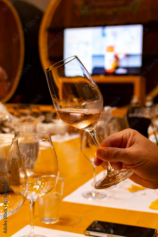 Professional wine tasting, sommelier course, looking at rose dry wine in wine glass