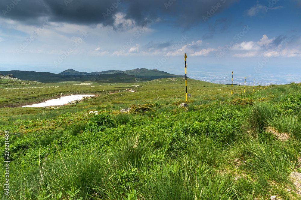 Summer Landscape with green hills of Vitosha Mountain, Sofia City Region, Bulgaria