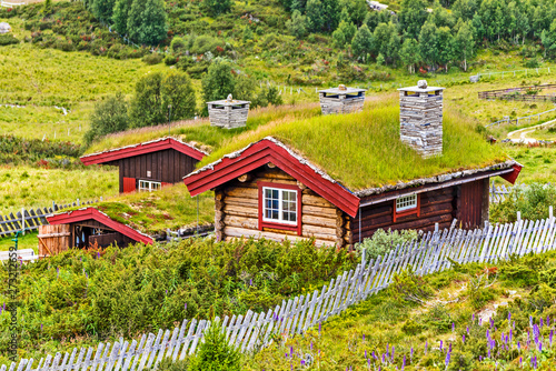 Traditional farmers houses in Norwegian countryside. photo