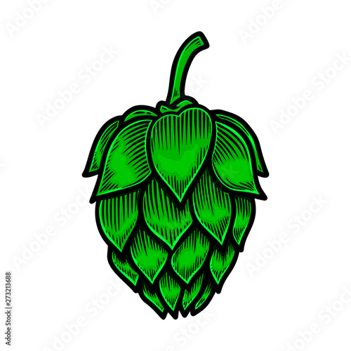 Beer hop illustration. Design element for logo, label, sign, poster, card, banner, flyer. Vector illustration