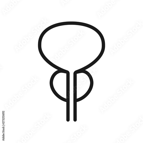 Icon of prostate in outline style