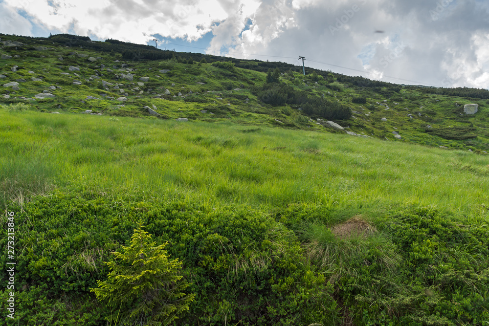 Obraz premium Summer Landscape with green hills of Vitosha Mountain, Sofia City Region, Bulgaria