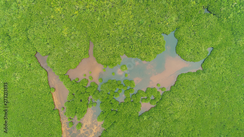 Aerial view of mangroves in Panglao, Philippines.