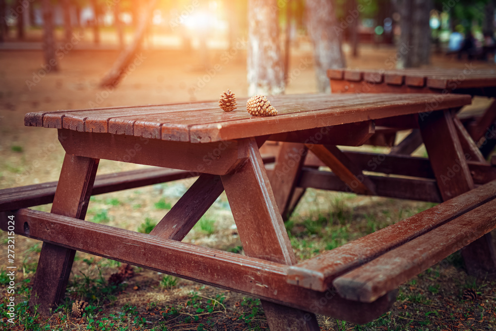 wooden picnic tables and pine cones in public park