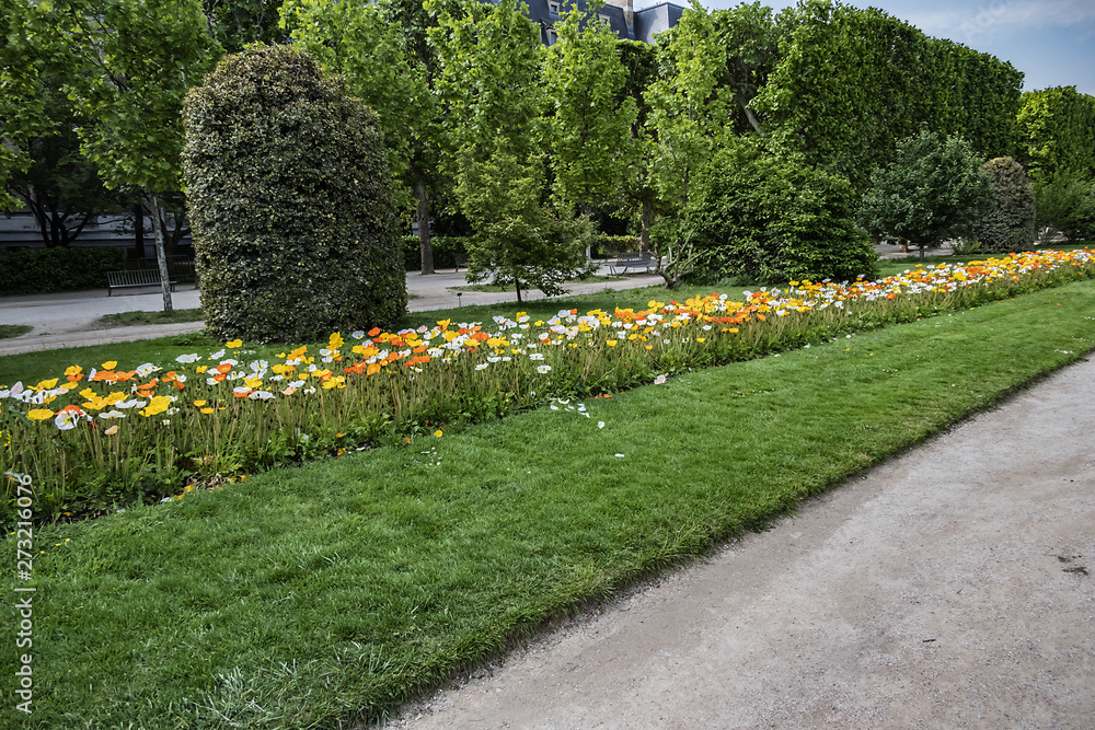 Paris Garden of the Plants (Jardin des plantes or jardin des plantes de Paris, 1889) - main public botanical garden in France. Flowers in the garden. Paris, France.