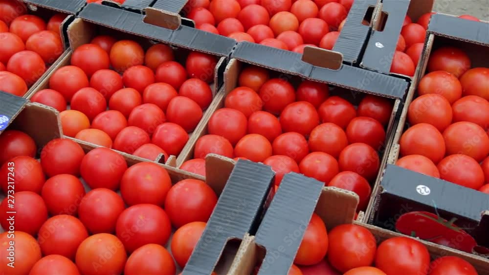 red tomatoes in baskets on farmers market red tomatoes in baskets on farmers market