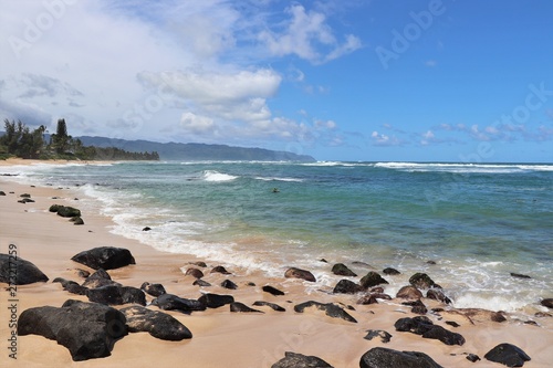 Fototapeta Naklejka Na Ścianę i Meble -  Beautiful beach area on the North Shore in Hawaii; 