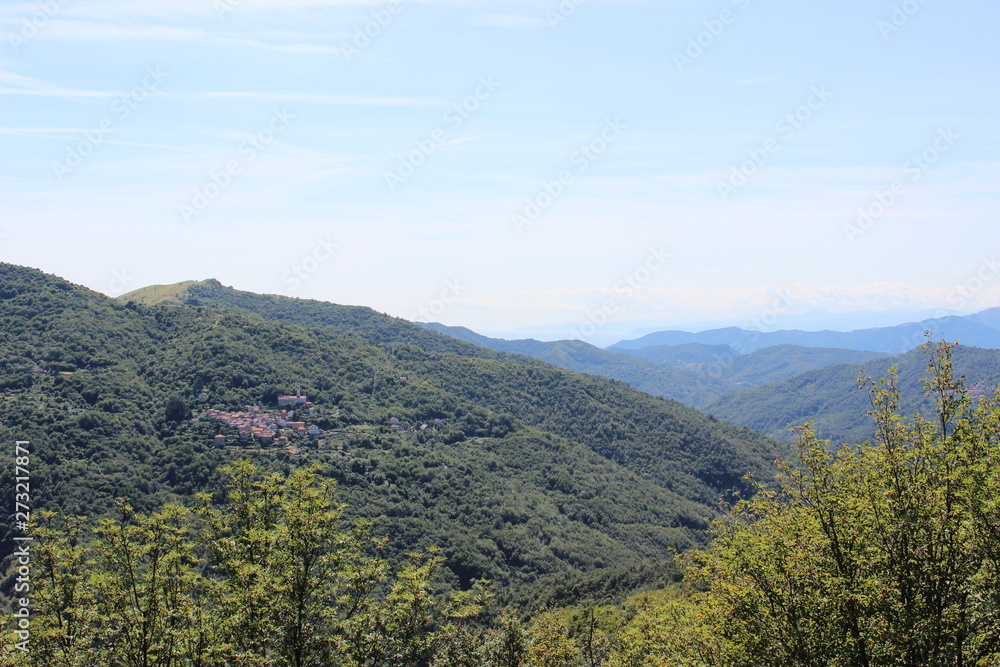 Panorama Panorama