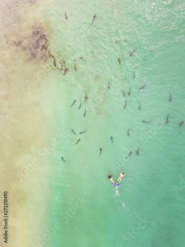 Aerial view of people scuba diving in La Jolla underwater park in San Diego, USA. photo