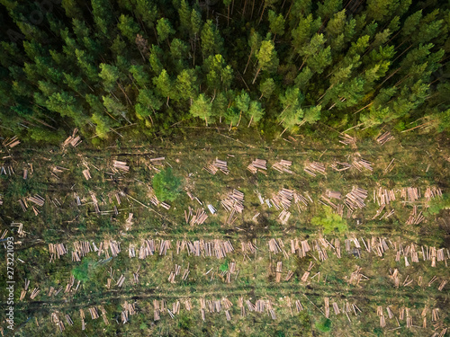 Aerial view of deforestation in Estonia.