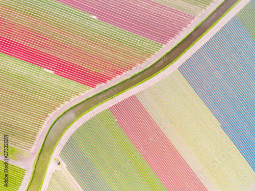 Aerial photography of  colorful tulips fields in Voorhout, Zuid-holland, the Netherlands. photo