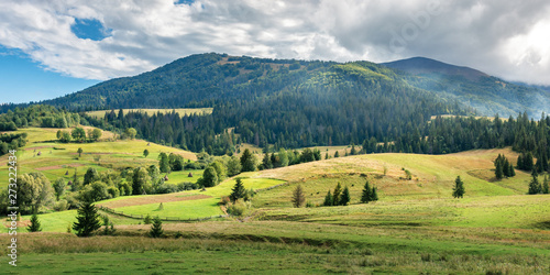 countryside landscape in dramatic light. dappled light on rural fields and spruce forest on hills. beautiful panorama with mountain on a cloudy day.