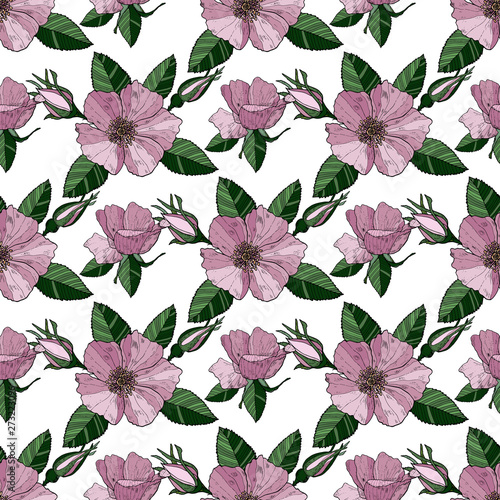 Seamless pattern with light pink wild roses on the white background. Endless texture for design. Decorative seamless background for greeting cards, interior, cosmetics and textiles.