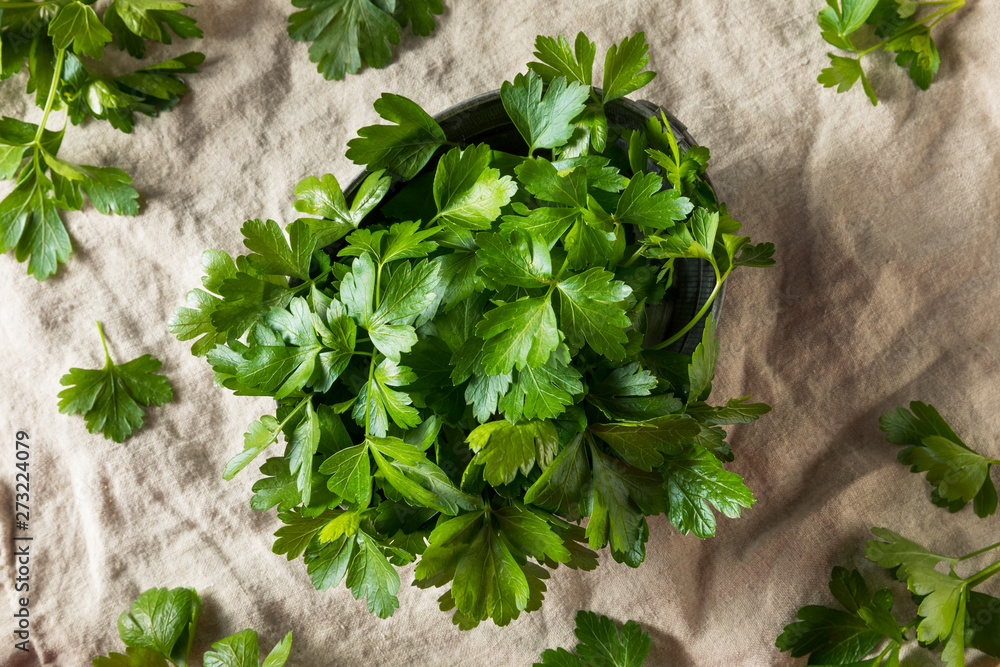 Raw Green Organic Italian Flat Leaf Parsley Raw Green Organic Italian Flat Leaf Parsley
