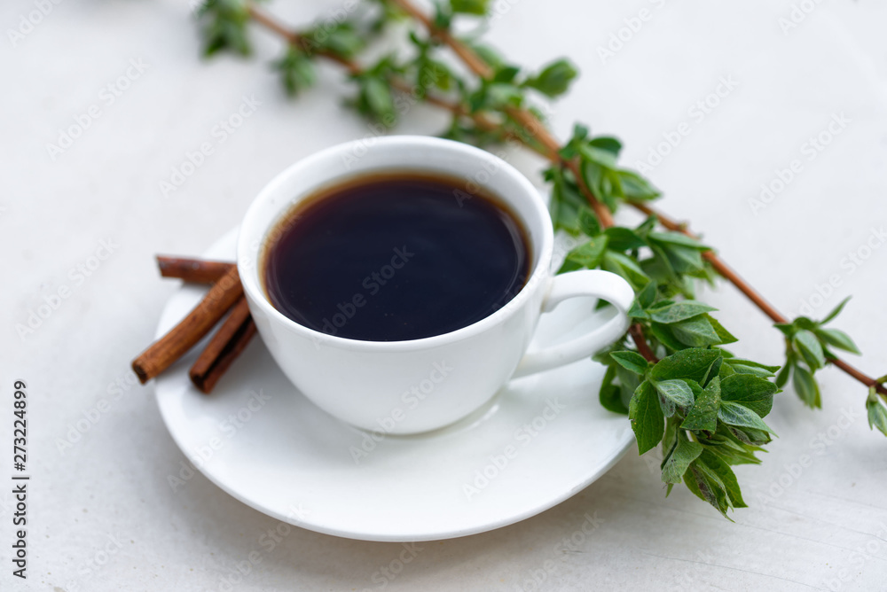 Aromatic coffee in a summer cafe in a white cup with cinnamon sticks. Beautiful green leaves. Aromatic coffee in a summer cafe in a white cup with cinnamon sticks. Beautiful green leaves.