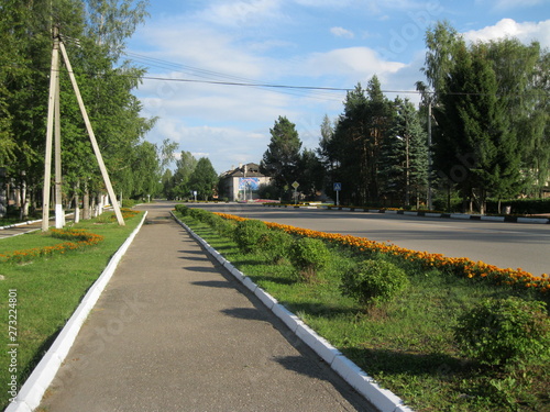 road in park