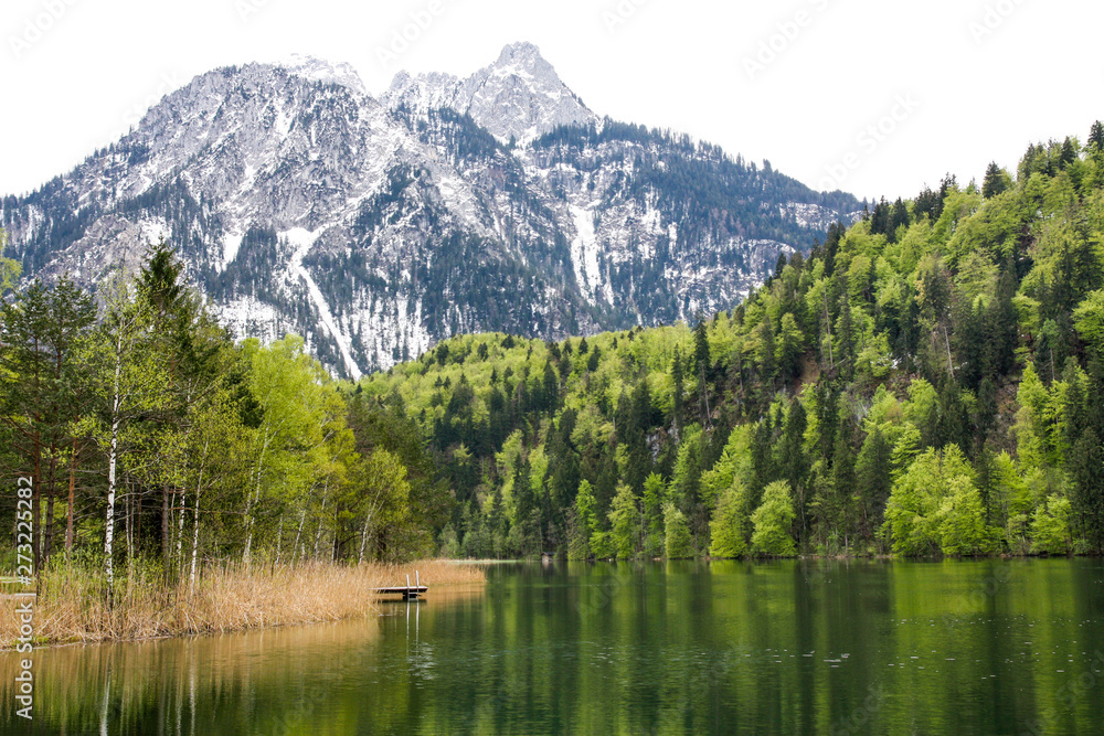 Beautiful landscape of lake Schwansee on a background of mountains. Bavaria, Germany