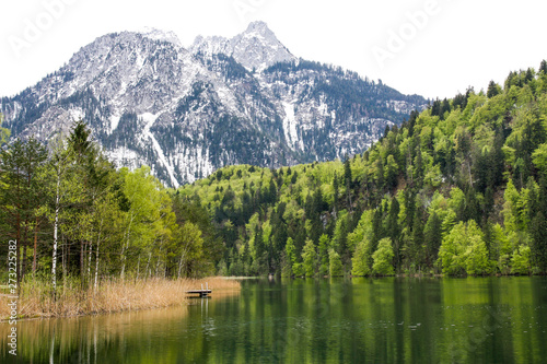 Beautiful landscape of lake Schwansee on a background of mountains. Bavaria  Germany
