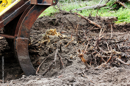Wallpaper Mural earthworks grading landscaping tree removal Torontodigital.ca