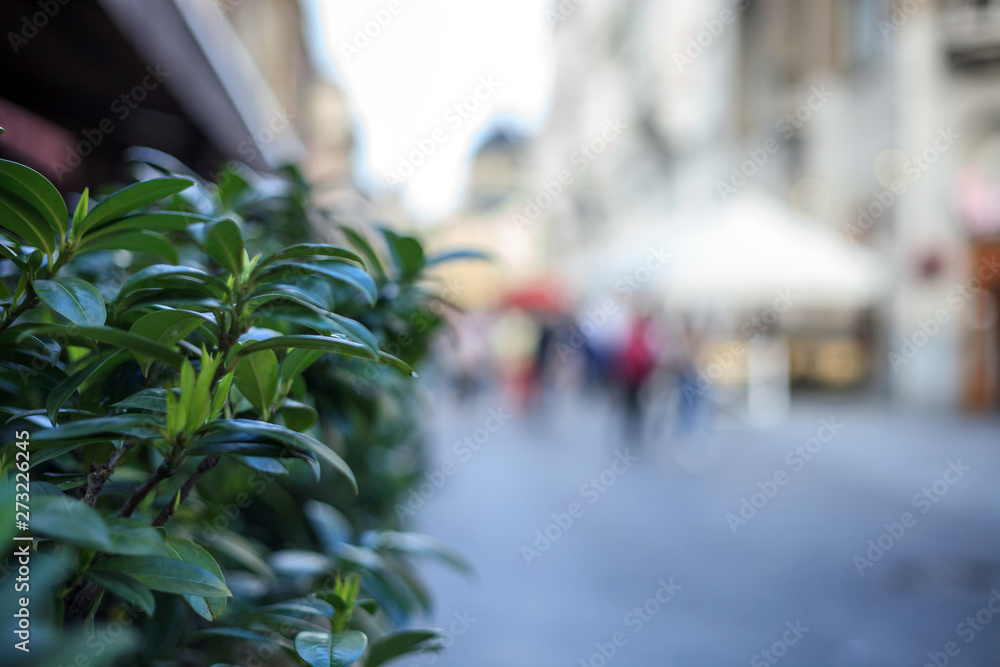 Obraz premium Blurred background of street and walking people