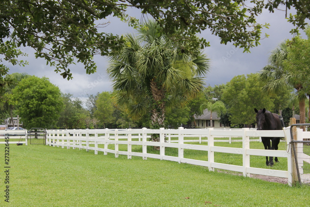 equestrian farm equestrian farm