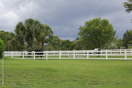 equestrian farm