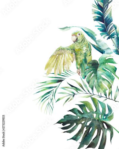akwarela-z-papuga-i-egzotycznymi-liscmi