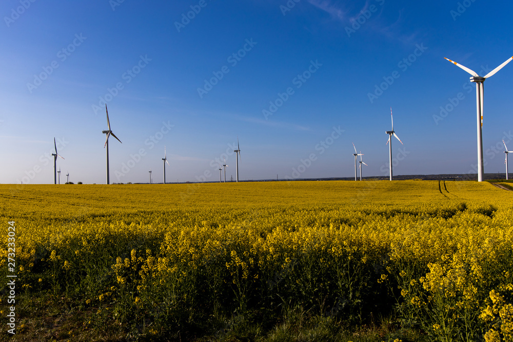 landscape with a field of yellow rape with a blue cloudless sky and ecological wind farms landscape with a field of yellow rape with a blue cloudless sky and ecological wind farms