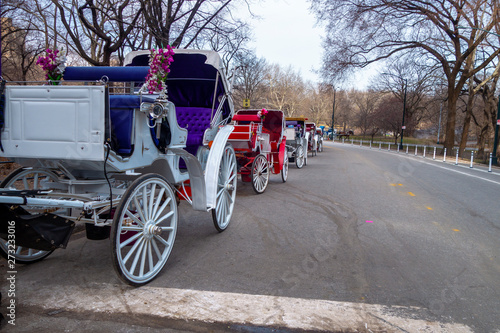 Photography horse and carriage recreational rides in Central Park new york city