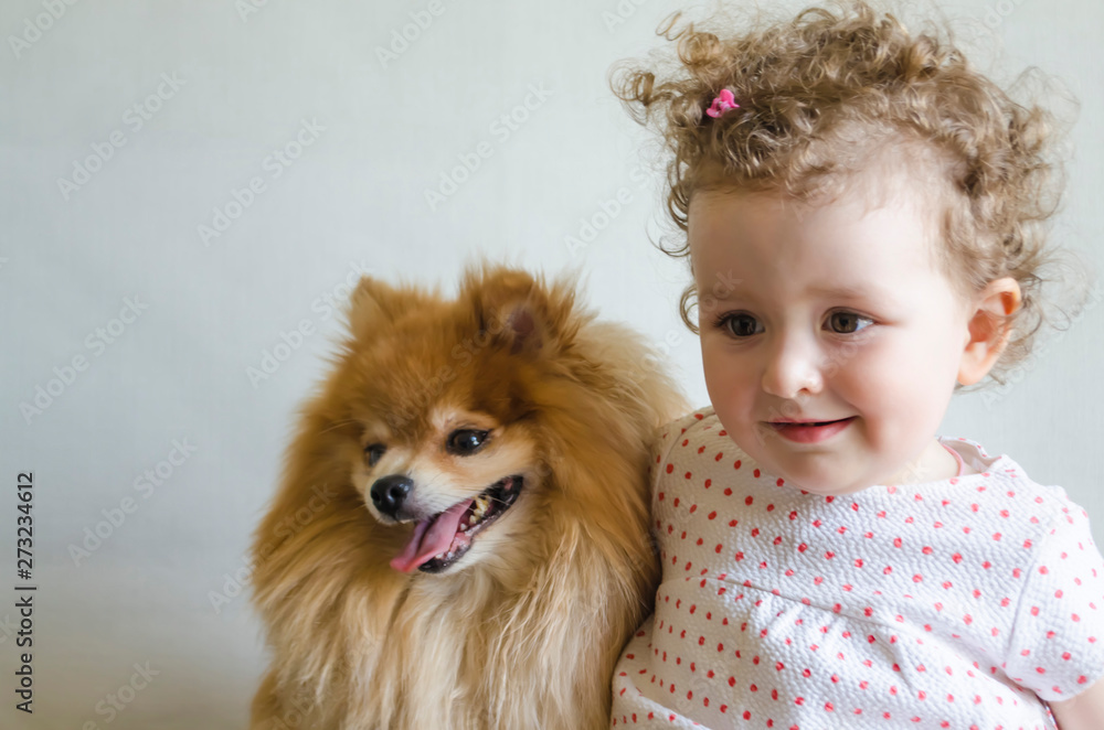 happy and joyful girl hugging affectionate dog Pomeranian, isolated, soft focus. happy and joyful girl hugging affectionate dog Pomeranian, isolated, soft focus.