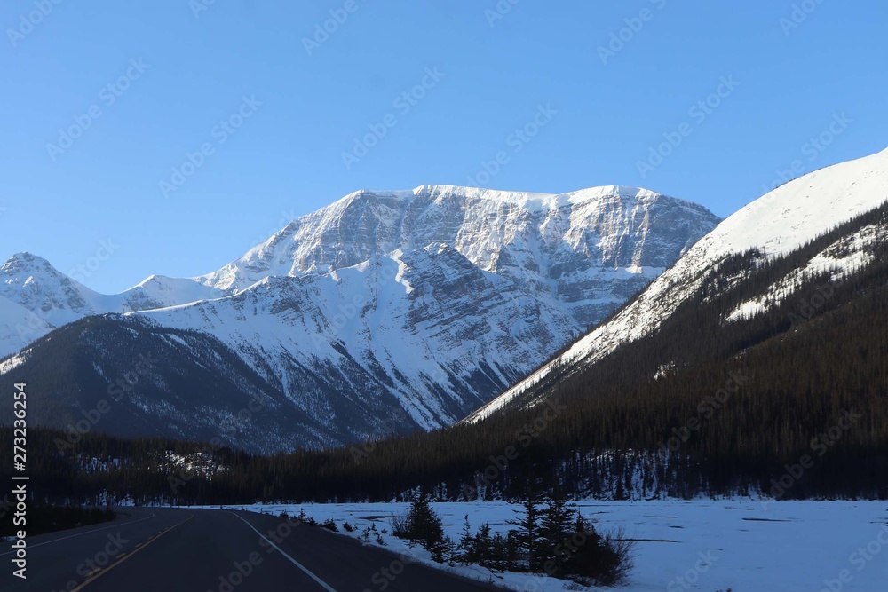 Road Trip Through Jasper National Park