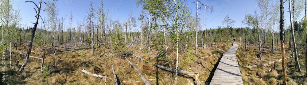 Dubrava minor reserve nature during springtime Dubrava minor reserve nature during springtime