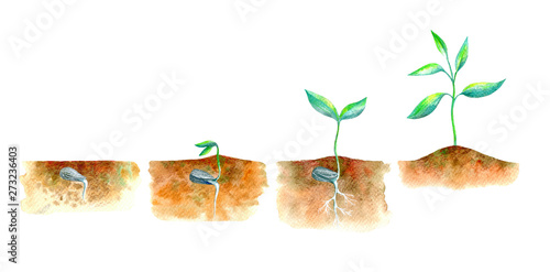 Sprout in the ground.Spring picture.Watercolor hand drawn illustration.White background.