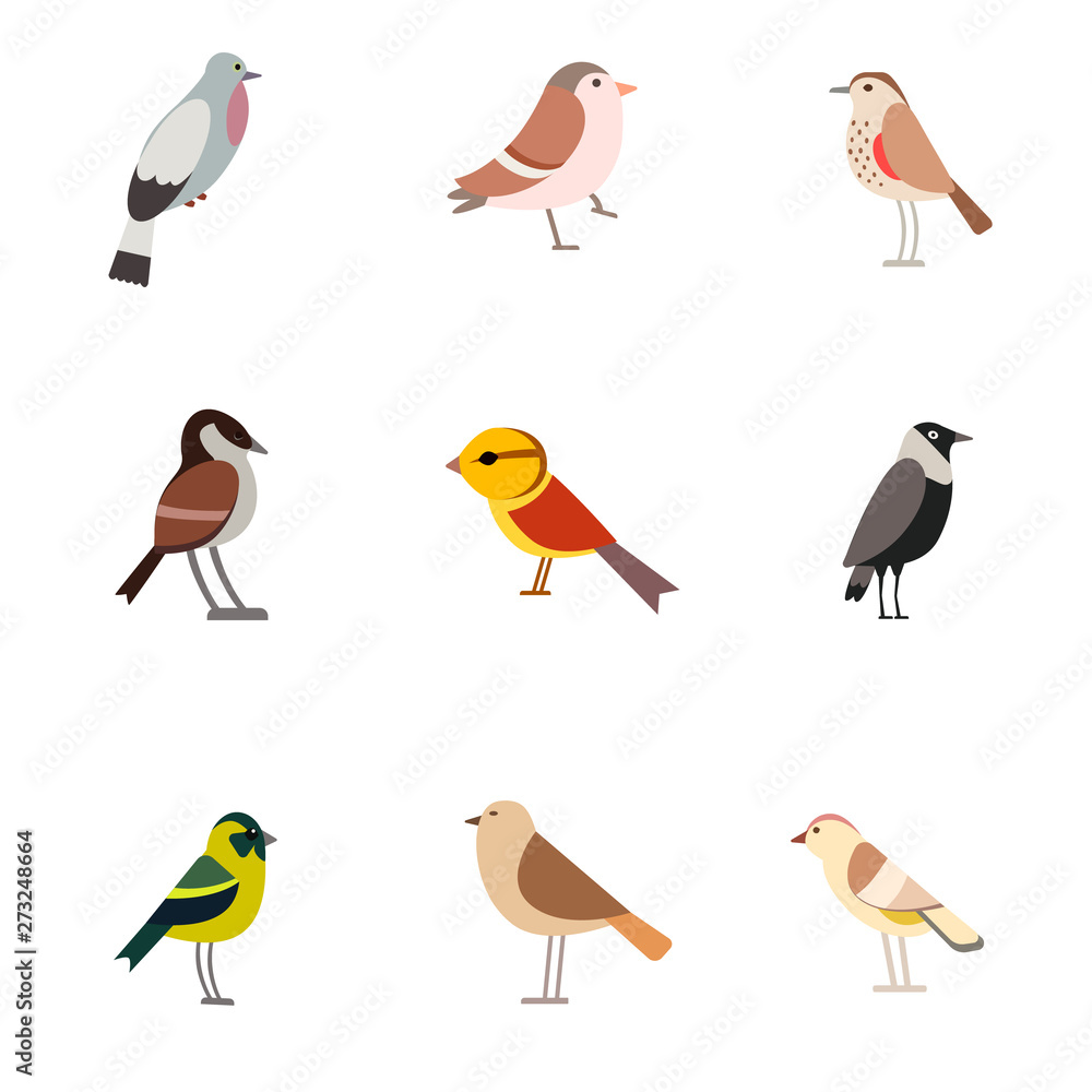 Bird pattern flat illustration on white Bird pattern flat illustration on white
