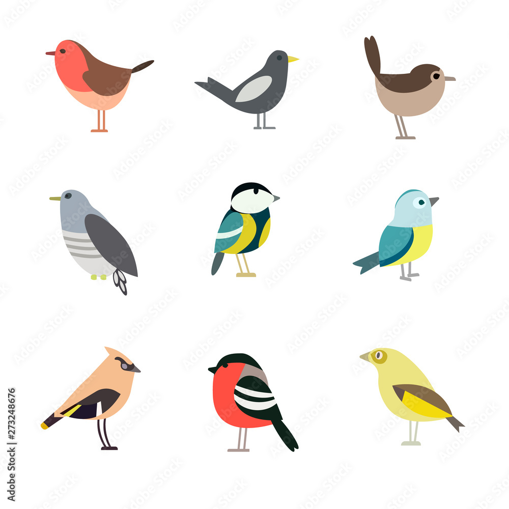 Bird pattern flat illustration on white Bird pattern flat illustration on white