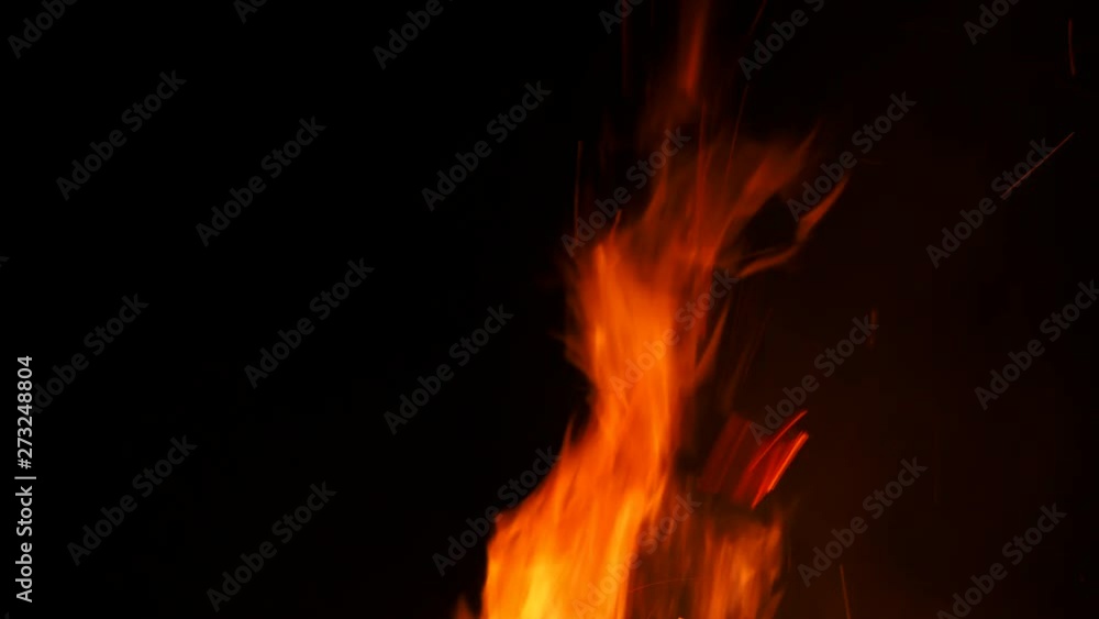 Fire flames on black background.