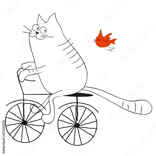 Cat riding a bicycle flat illustration