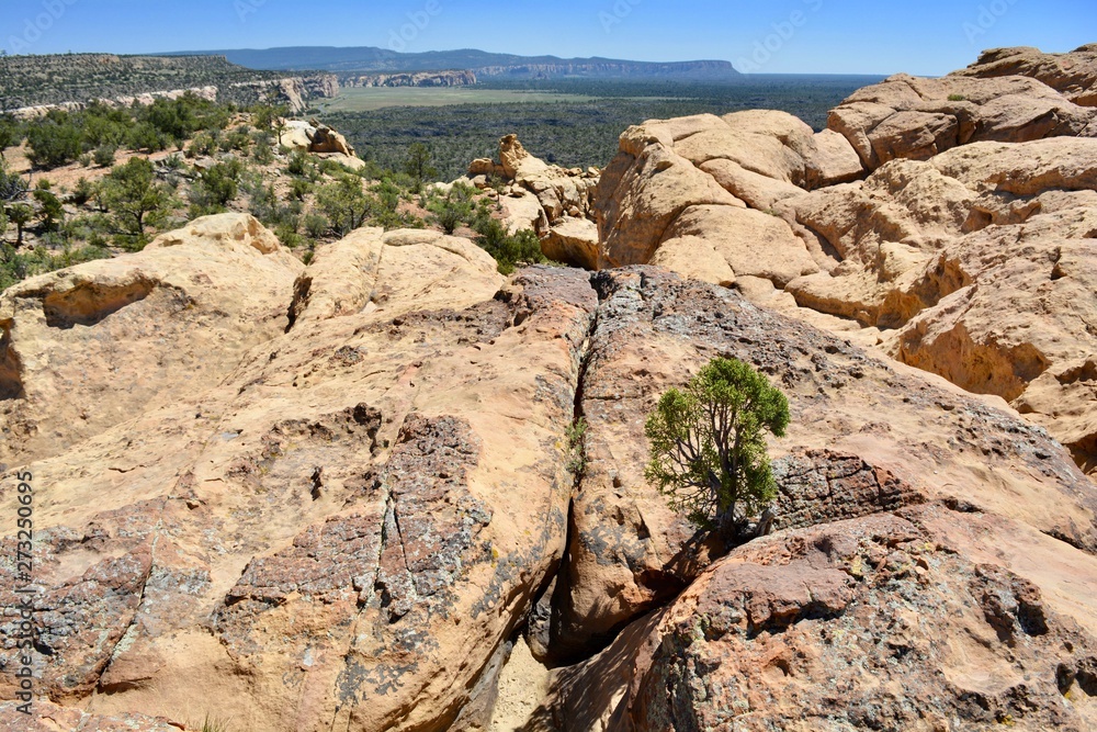 Sandstone Cliffs El Malpais National Monument New Mexico Grants