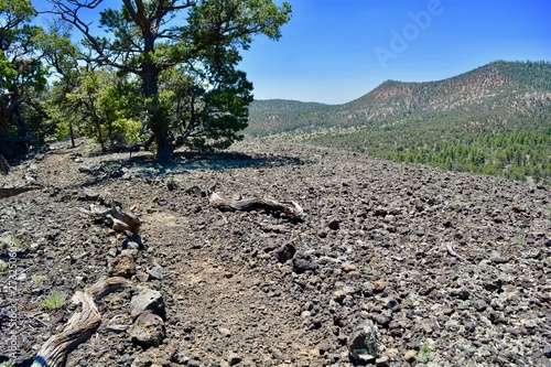 Volcanic Rock El Calderon Trail El Malpais National Monument New Mexico