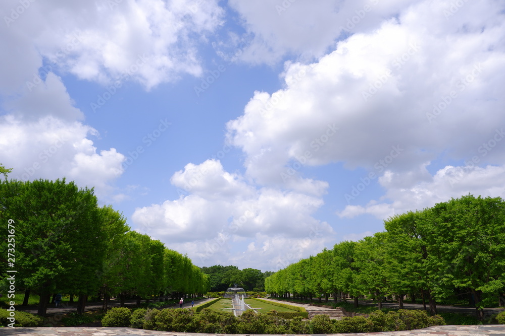 landscape with blue sky and white clouds