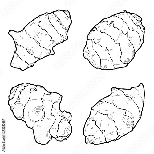 Artichokes - Jerusalem Vector Illustration Hand Drawn Vegetable Cartoon Art