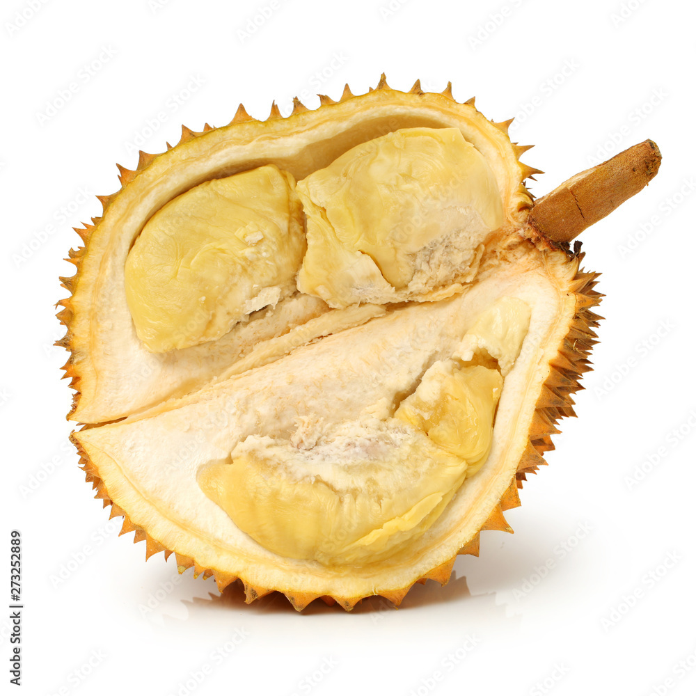 Fototapeta premium durian on white background.