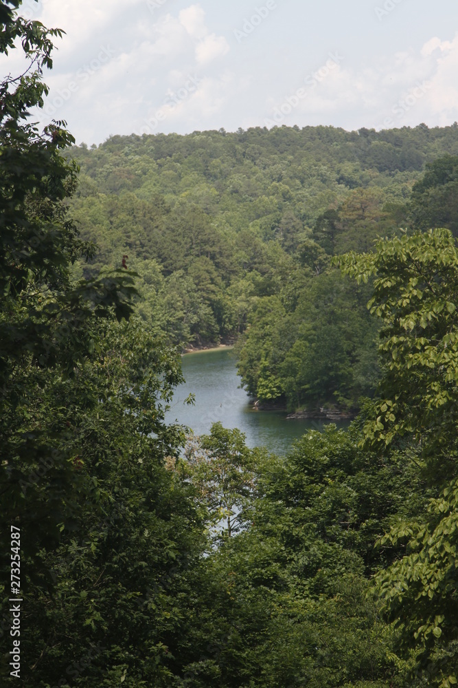 river in forest river in forest