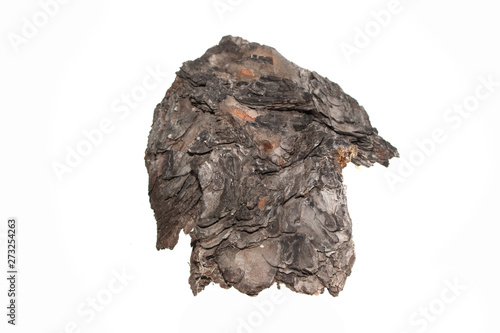 tree bark isolated on white background